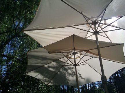 parasol